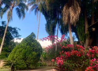 Sitio do Sossego Suites #2 - Coqueiros - 0