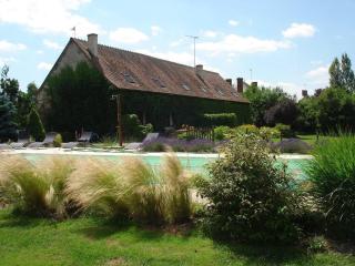 Gîtes Rénovés avec Piscine au Cœur de la Brenne – Proche Sites Naturels et Historiques - FR-1-591-327 - Rosnay - 9