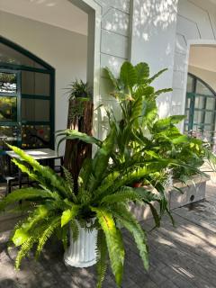 Green Inn Phu Quoc Hotel - Phú Quốc - 5