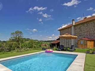 Gîte avec piscine, cheminée, jardin, et animaux acceptés - FR-1-496-32 - 0