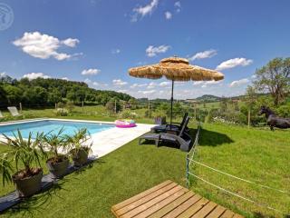 Gîtes confortables avec piscine, accueil animaux, cheminée, jardin - FR-1-496-140 - Belmont-de-la-Loire - 6