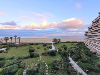 Canet Sud - T2 cabine 4/6 pers - Terrasse - Accès direct plage - FR-1-794-121 - 0