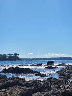 Dolphinview - - 7
