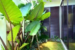 Adaline 2 BR Apartment JU40 - Jimbaran - 1