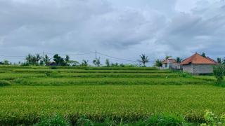 Private hideaway villa in the cultural heart of Bali - Keramas - 8