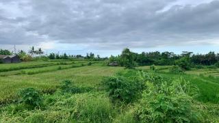 Private hideaway villa in the cultural heart of Bali - Keramas - 9