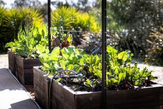Mia Mia House - Redesdale - 5