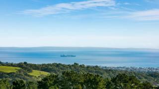 White Hill Cottage - Red Hill - 6