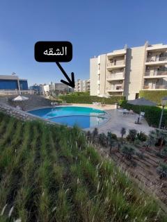 Luxury apartment in shikh zayed families only - 7