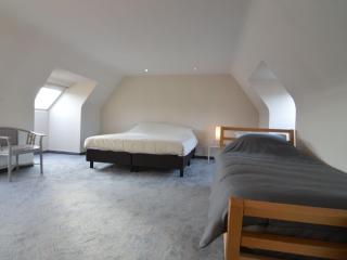 Splendid villa in Flemish Ardennes with pool - Wolvenhoek - 1