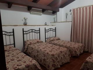 Casa Rural El molino de Gadeo - La Campana - 6