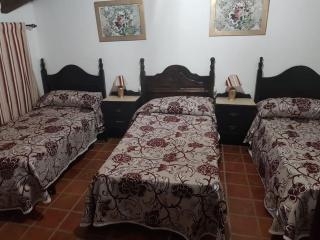 Casa Rural El molino de Gadeo - La Campana - 2