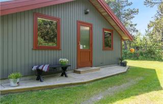 Holiday Home Blåvand With Fireplace Vi - 1