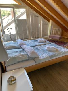 Ferienwohnungen im Hegau - 6