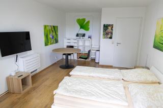 Seefelder Berge und Seen Appartements - Seefeld - 7