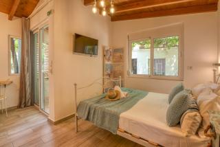 Vitis Vinifera Tranditional Studio Apartment - 4