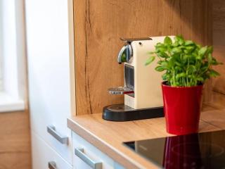 Present apartment in Fusch - 3