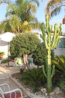 B&B Valentino - Bari - 8