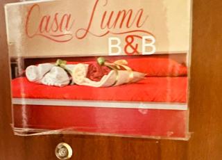 Casa Lumi - Bresso - 4