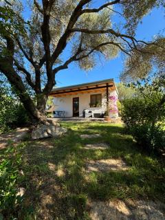 Sa Istera Sardegna - Olbia - 3