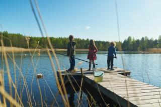 Resort Naaranlahti - Punkaharju - 5