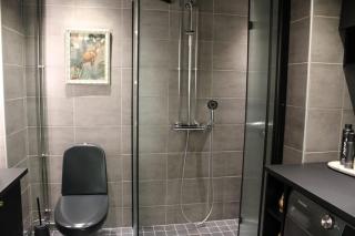 Magnificent luxury for you - Tampere - 2