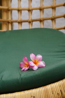 Guesthouse Canggu - Canggu - 8