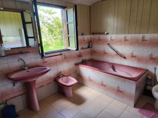 Carrousel - Le Tampon - 5