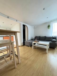 Brother street Rooftop apartment - 8