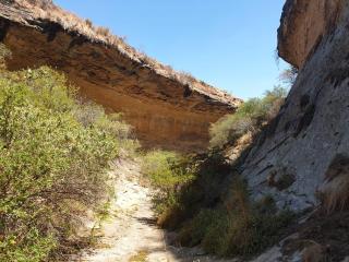 Imla Guest Farm - Ficksburg - 3