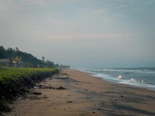 Twin Tree - Mahabalipuram - 9