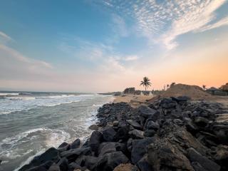 Twin Tree - Mahabalipuram - 5