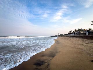 Twin Tree - Mahabalipuram - 4