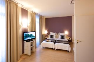 Grand Hôtel Du Tonneau D'Or - Belfort - 7