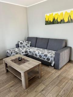 Wypoczynkowy domek całoroczny - 5