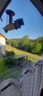 Sunrise B&B Hellenthal - Hellenthal - 6