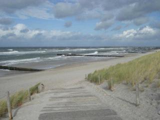 Langer Strandhafer 31 - 5