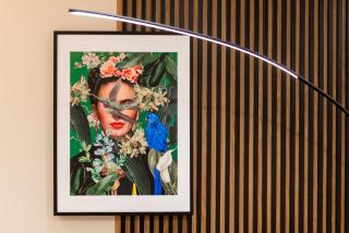 Frida's Dream Suite - 2