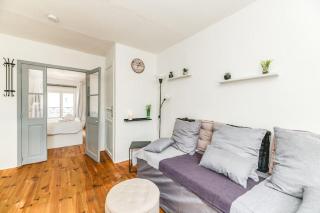 La Salamandre, 40 m2, 1 chambre, 2 pas de la gare - Voiron - 3