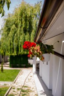 Mafmaf Tiny Houses - Mamaia Nord – Năvodari - 5