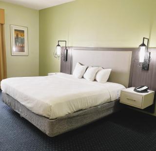Park Inn by Radisson Albany - Albany - 8