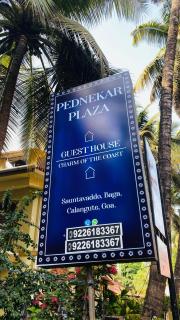Pednekar Plaza Inn - 8