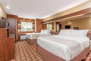 Microtel Inn by Wyndham Lexington - Lexington - 8