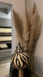 Neoclassical Guest House on ground floor with a garden and private parking space - 1