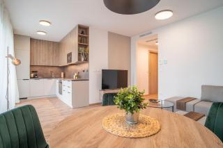 Patronka Apartments - Stylish apartment with a spacious terrace - Bratislava - 9