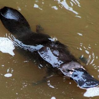 Mountain Edge Escape - 6