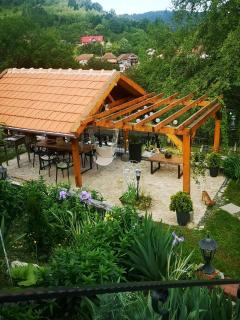 The Little Blue House - 1