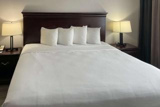 Country Inn & Suites by Radisson, Tallahassee-University Area, FL - Tallahassee - 5