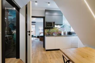 Górskie Szczyty Apart & SPA Apartament 13 Sauna Jacuzzi i Parking w cenie - Zakopane - 8
