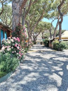 Camping Roma - Ventimiglia - 8